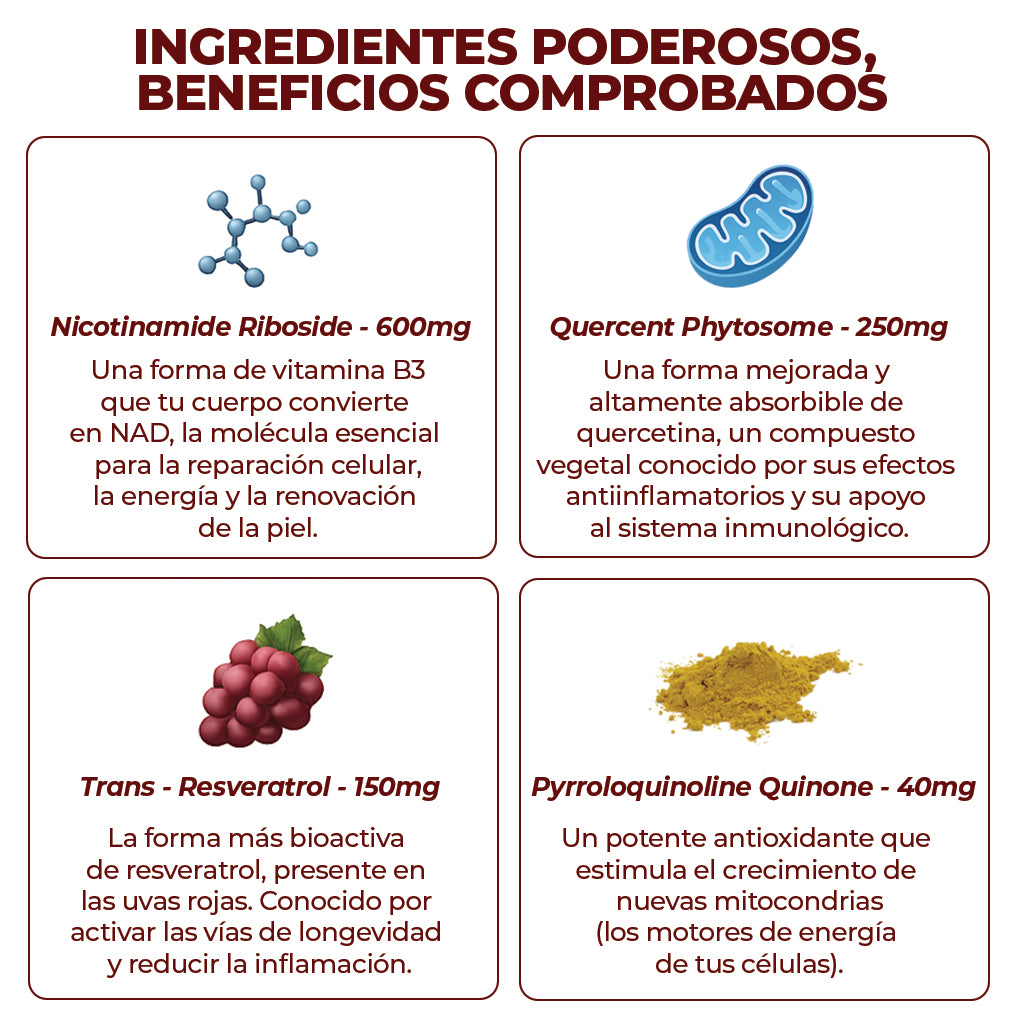 ZOOONE NAD+ Líquido